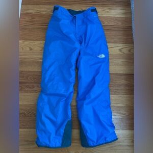 The Northface boys freedom ski pants insulated size 18/20